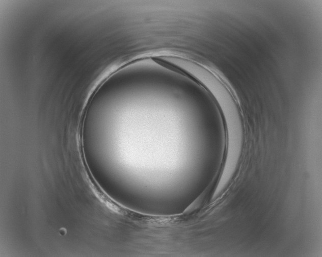 X0000079320813200612011840