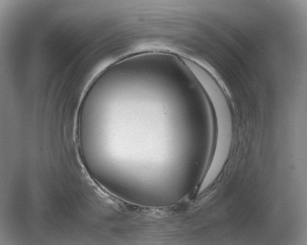 X0000079320815200612011840