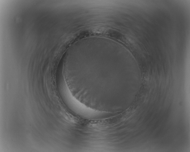 X0000079320817200612011840