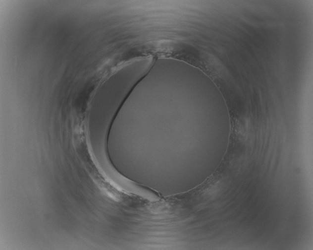 X0000079320818200612011840