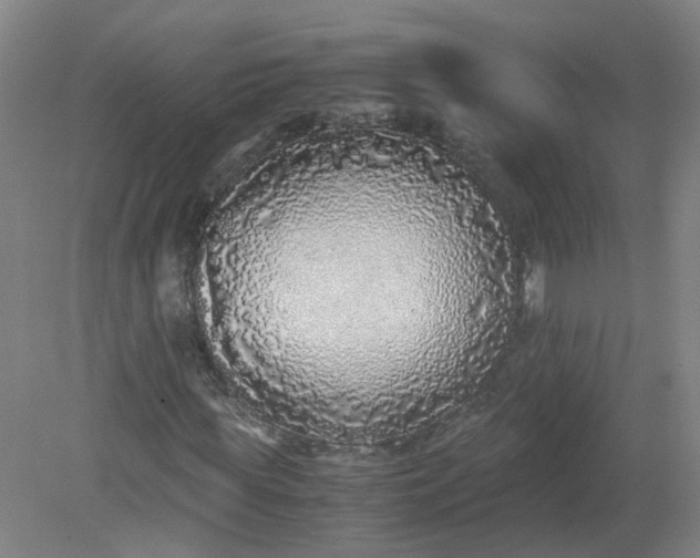 X0000079320819200612011840