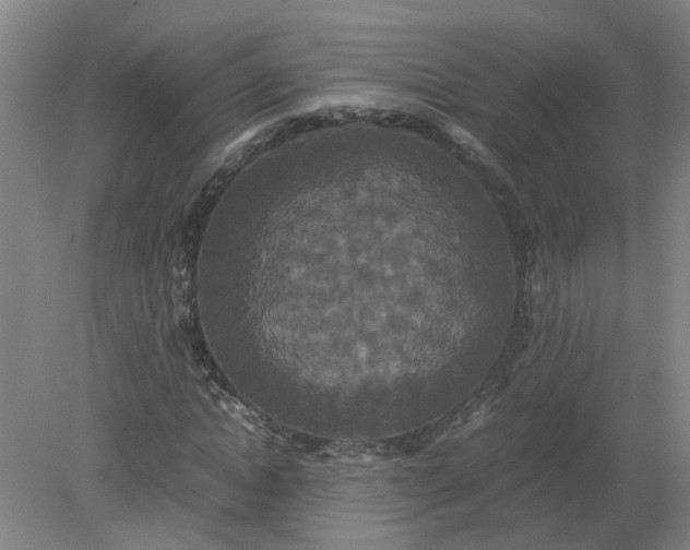 X0000079320822200612011840