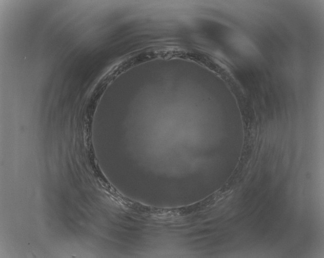 X0000079320823200612011840