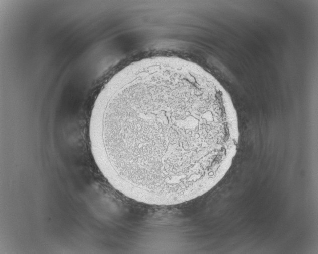 X0000079320824200612011840