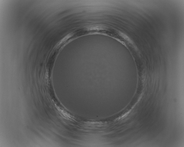 X0000079320825200612011840