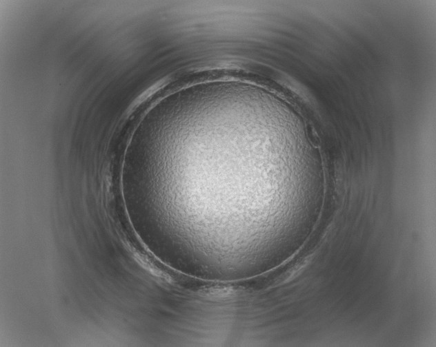 X0000079320826200612011840