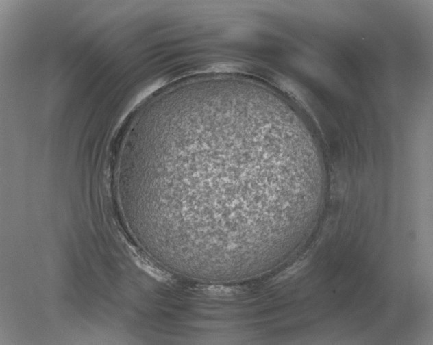 X0000079320827200612011840