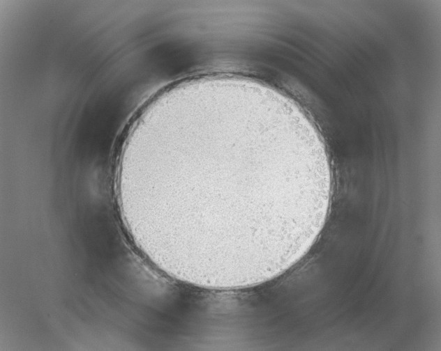 X0000079320828200612011840