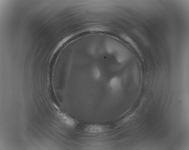 X0000079320829200612011840