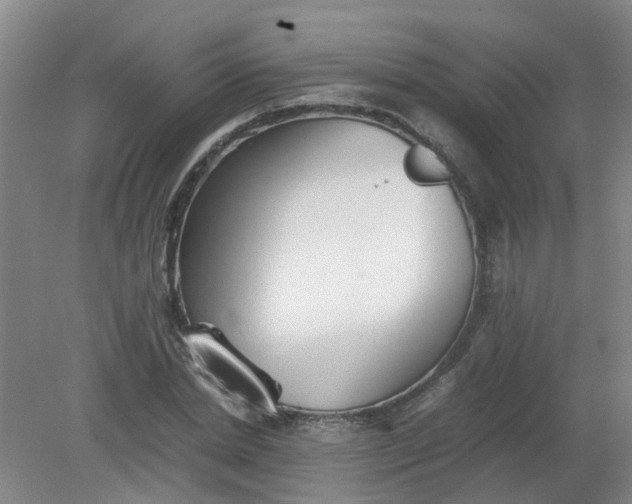 X0000079320830200612011840