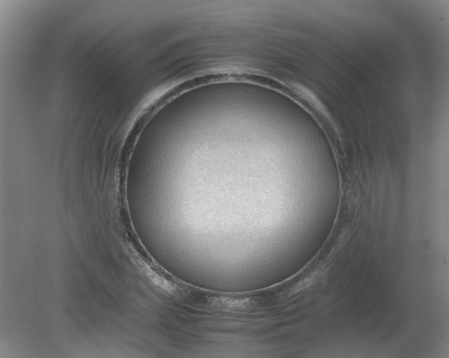 X0000079320831200612011840