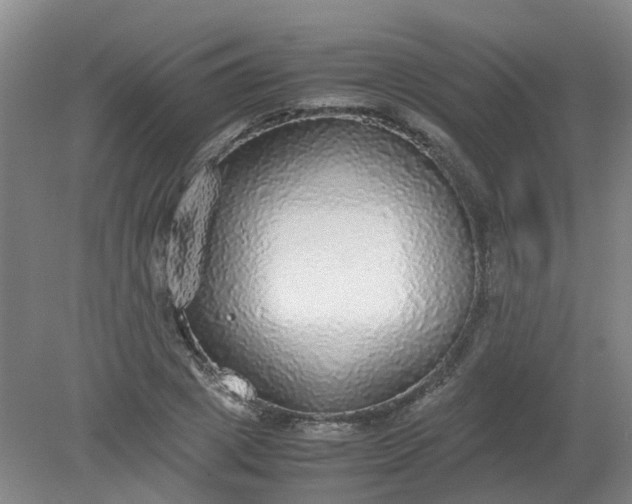 X0000079320833200612011840