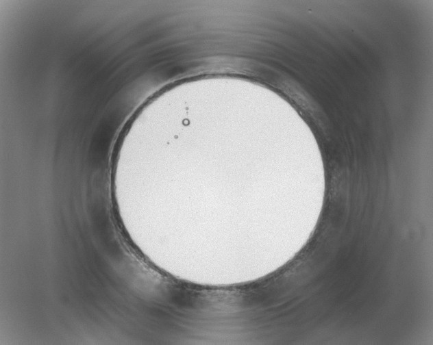 X0000079320836200612011840