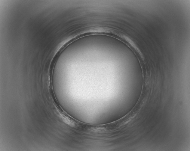 X0000079320837200612011840