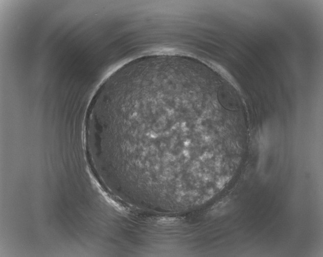 X0000079320839200612011840