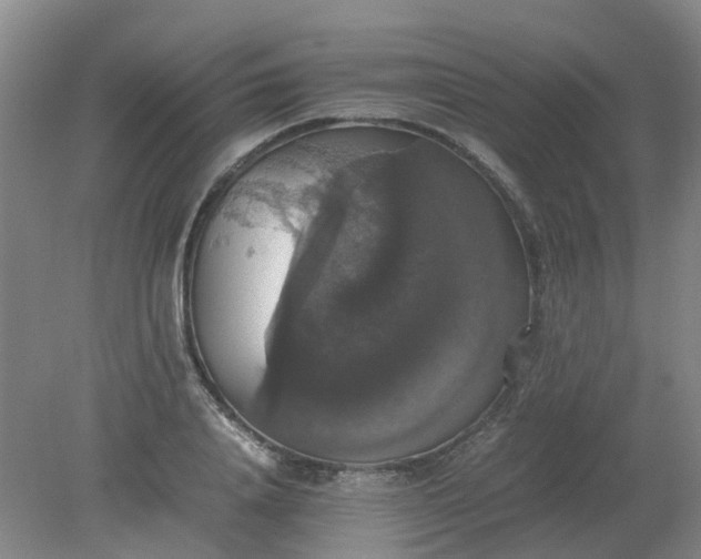 X0000079320840200612011840