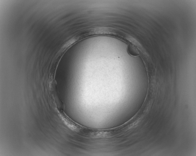 X0000079320841200612011840