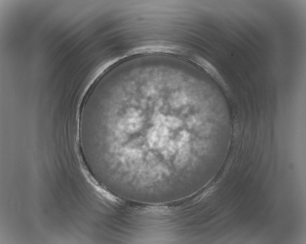 X0000079320844200612011840