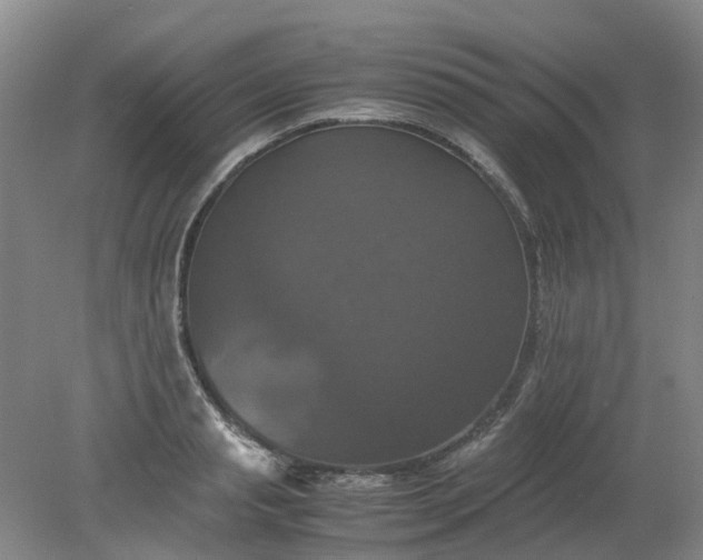 X0000079320845200612011840