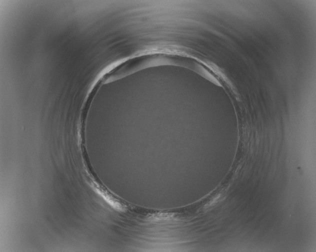 X0000079320846200612011840