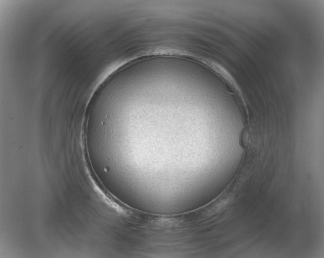 X0000079320847200612011840