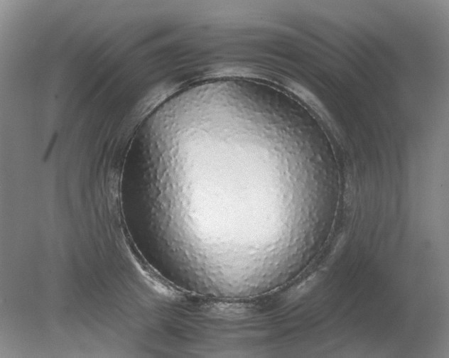 X0000079320849200612011840