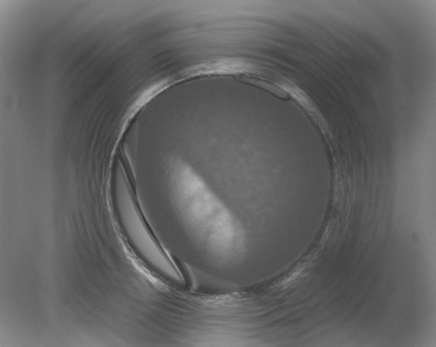 X0000079320850200612011840