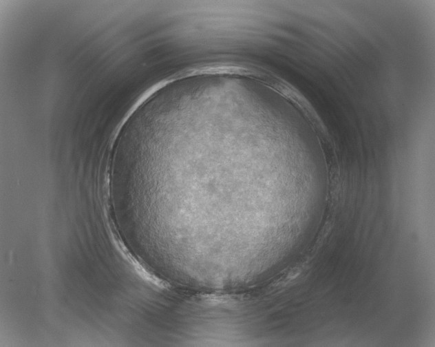 X0000079320852200612011840