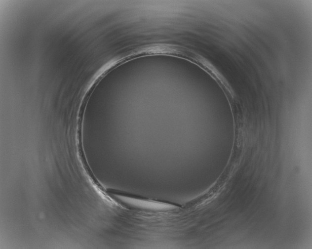 X0000079320853200612011840