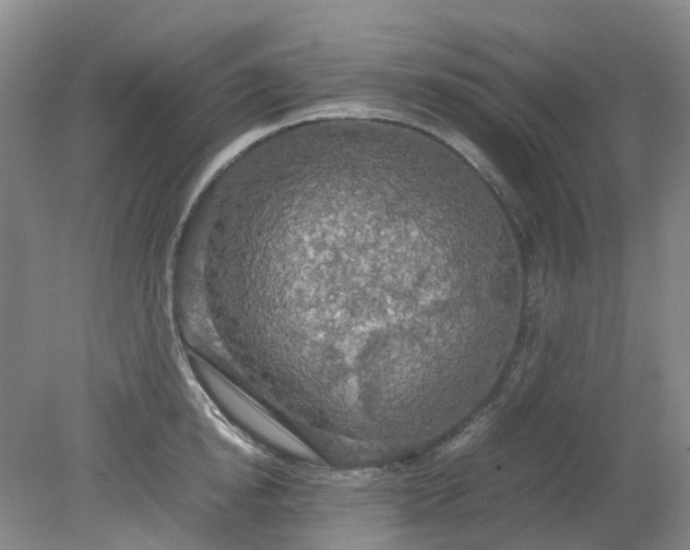 X0000079320854200612011840