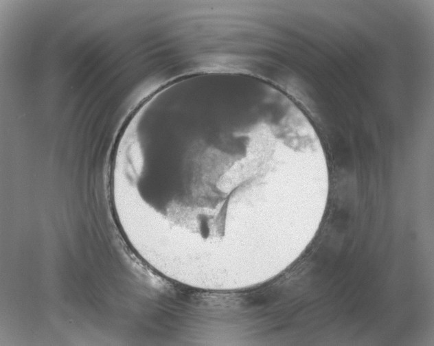 X0000079320856200612011840