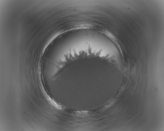 X0000079320859200612011840