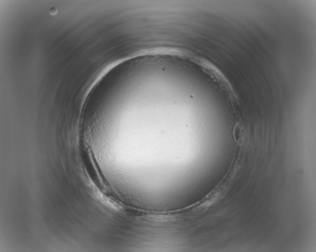 X0000079320860200612011840