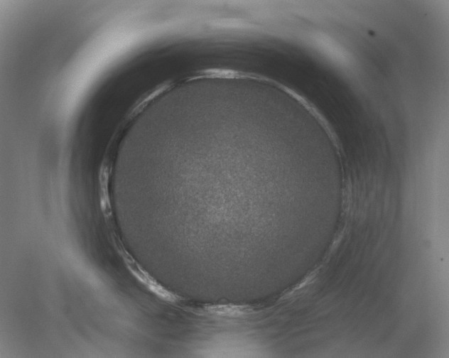 X0000079320862200612011840