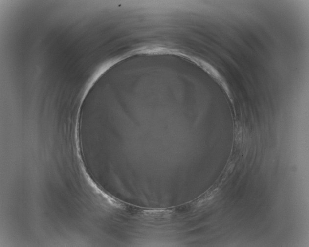 X0000079320863200612011840