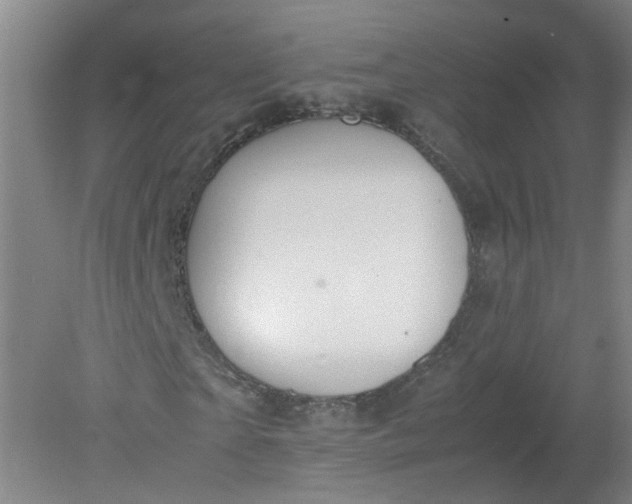 X0000079320865200612011839