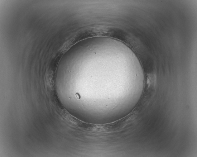 X0000079320867200612011839