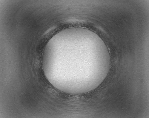 X0000079320869200612011839