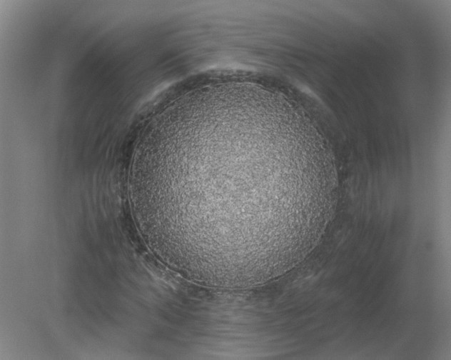 X0000079320870200612011839