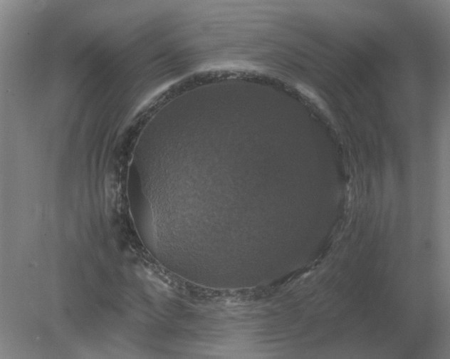 X0000079320872200612011839