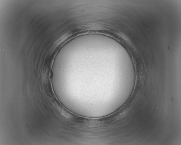 X0000079320873200612011839