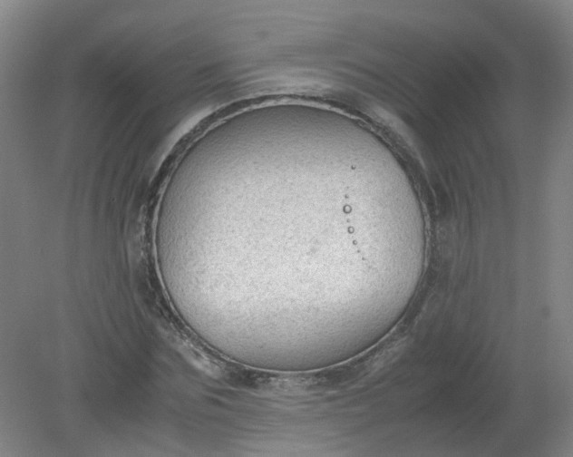 X0000079320875200612011839