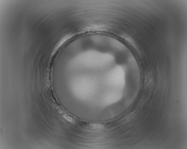 X0000079320878200612011839