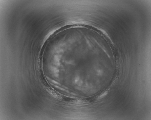 X0000079320879200612011839