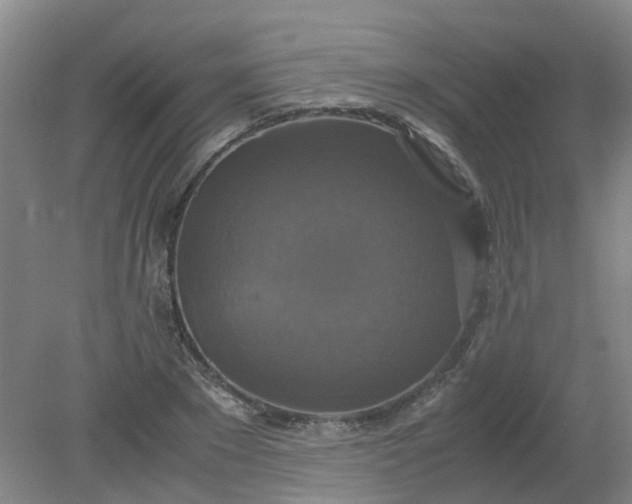 X0000079320881200612011839