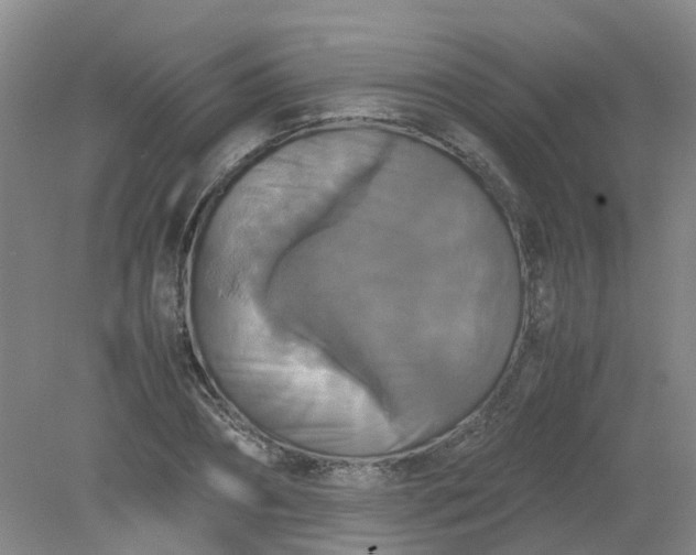 X0000079320882200612011839