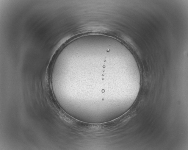 X0000079320883200612011839