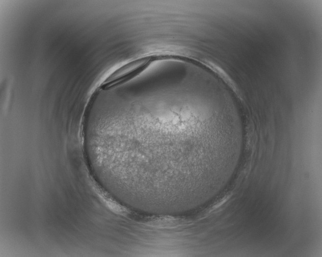 X0000079320885200612011839