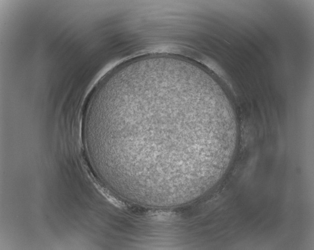 X0000079320886200612011839