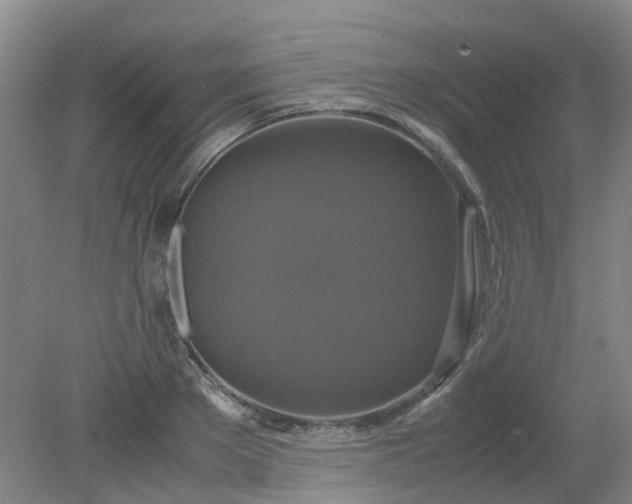 X0000079320889200612011839